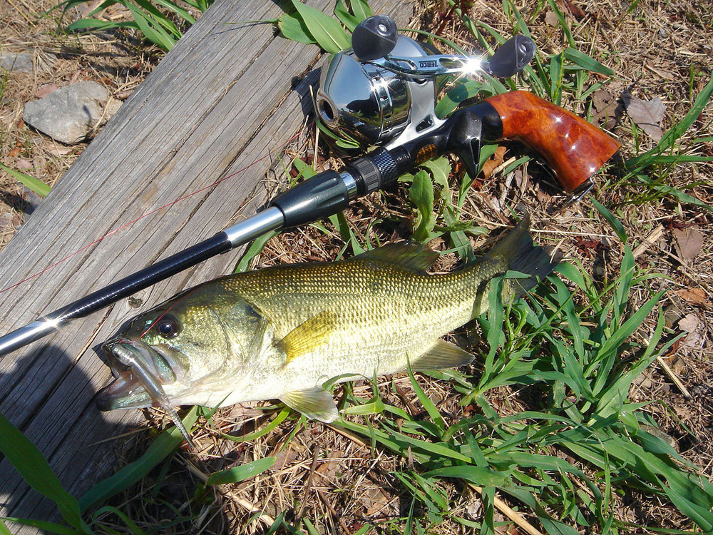 地域別 Rod Test釣行 13 地元 5 柴山沼 試製 Bassrod Third