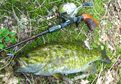 地域別 Rod Test釣行 1 有間ダム 名栗湖 試製 Bassrod Third 地域別 Rod Test釣行 1 有間ダム 名栗湖 試製 Bassrod Third