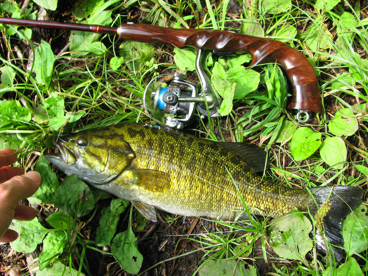 地域別 Rod Test釣行 6 希望湖 試製 Bassrod Third