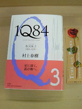010b11fe.jpg