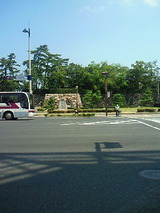 56fb6629.jpg