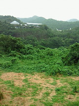 7262c038.jpg