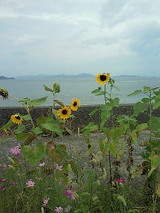 979c86a0.jpg