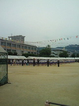 b38c2e50.jpg