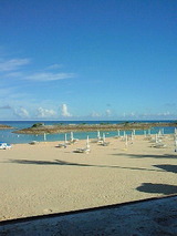 f0f0f863.jpg