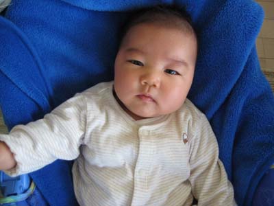 赤ちゃんの顔はすぐ変わる Life With Little Kids 赤ちゃんの顔はすぐ変わる Life With Little Kids