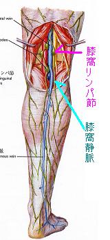 リンパ節を温めるだけで難病 L773nanamilのblog