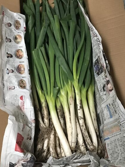 20200220_お買物