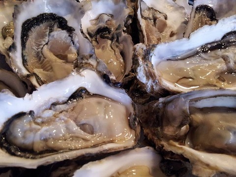 10434196_782735755093830_7286200529027033811_n