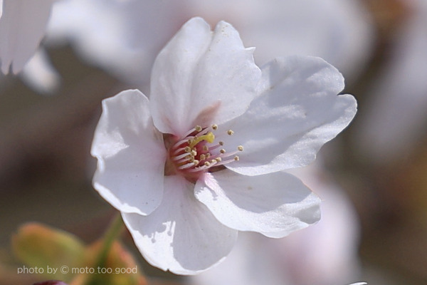 IMG_5730b