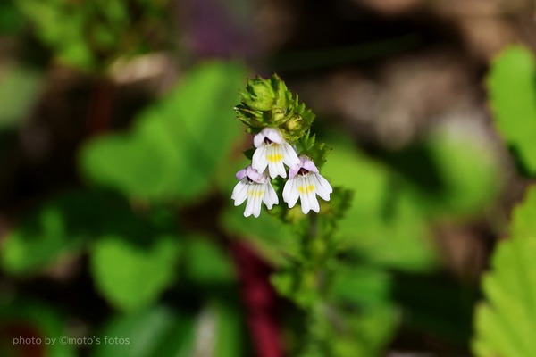 s-20260804 063A1634