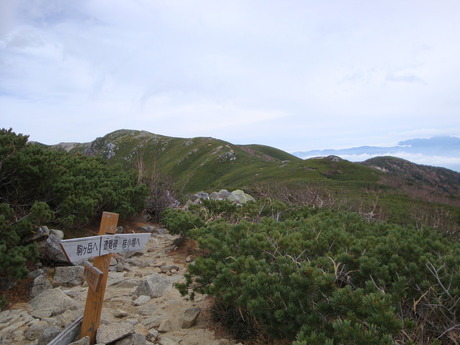 DSC01331