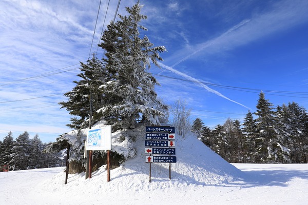 菅平高原スノーリゾート 雨の日だからジャズでも勉強しよう 菅平高原スノーリゾート 雨の日だからジャズでも勉強しよう