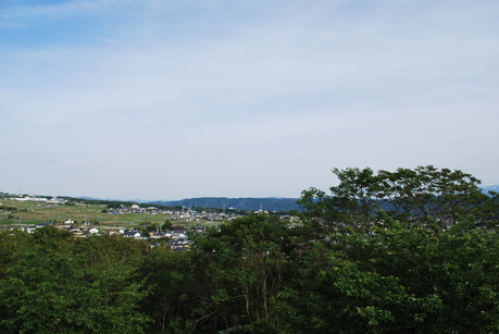 DSC_0631