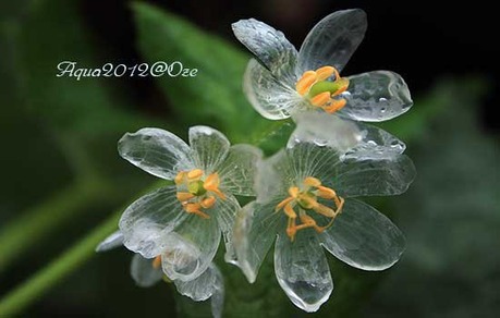 IMG_0317-1aaf31