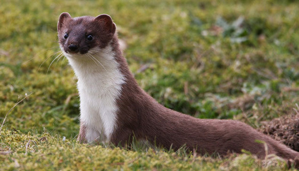 木曽駒ヶ岳 雨の日だからジャズでも勉強しよう