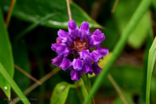 s-20260804 063A1681