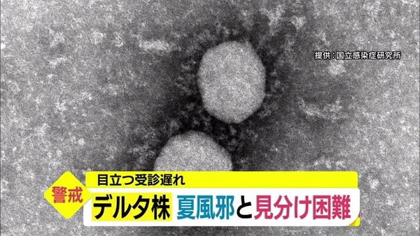 日常のいろいろ 雨の日だからジャズでも勉強しよう