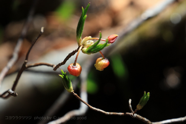 IMG_4276-01
