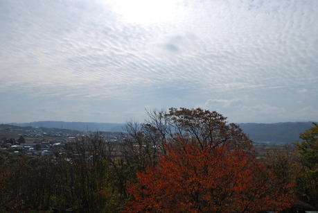 DSC_1245