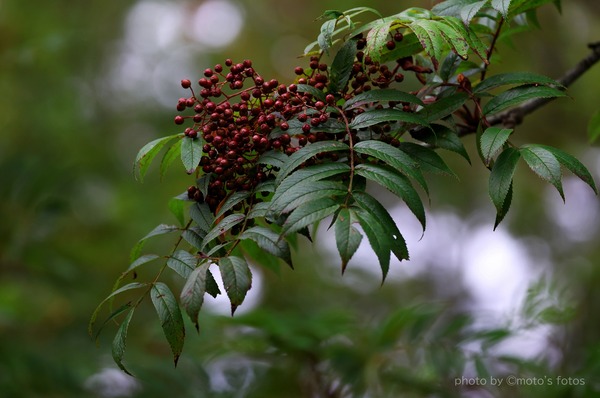 s-20260823 063A0034
