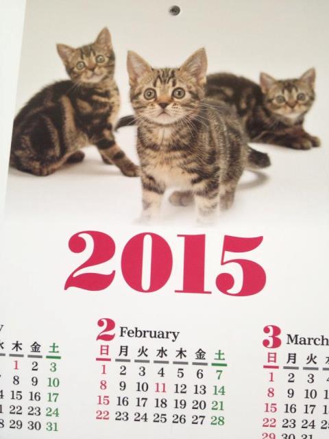 1186835_523103871117248_291982761_n