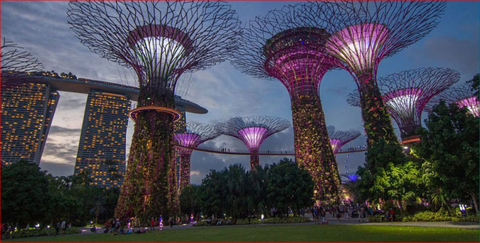 Crazy Rich Asians_44