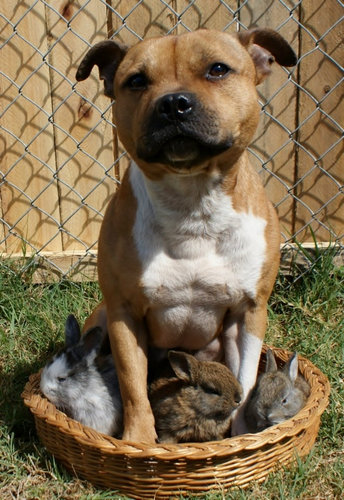 ���ȤҤ褳�Ȥ�����08