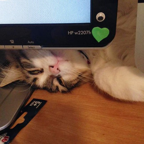 ǭ������򶼤������19