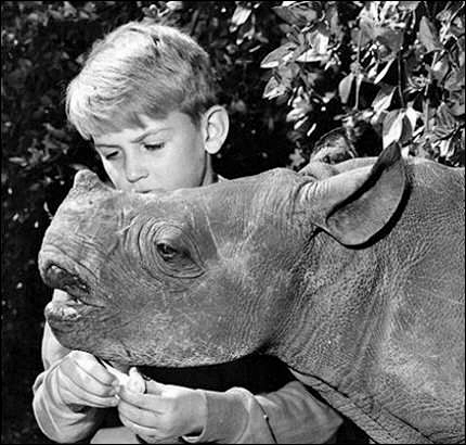 エキゾチックなペット11