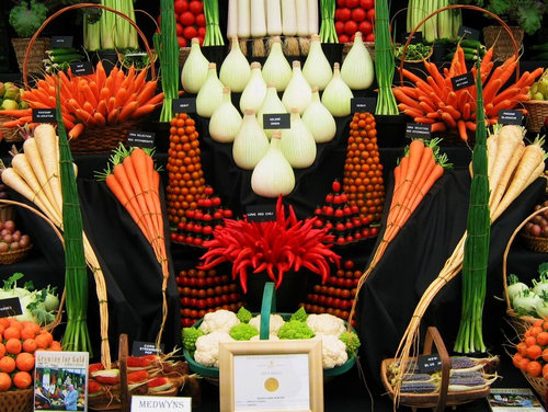 野菜の陳列アート11