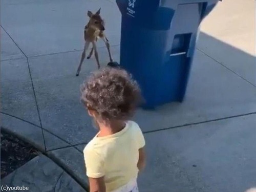 �����֤���󤬿ʹ֤��֤����Ƚв�ä�03