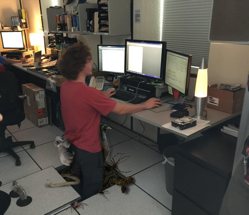 立ってデスクワーク03