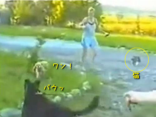 ���Υ��󥫤���ۤ���ǭ00