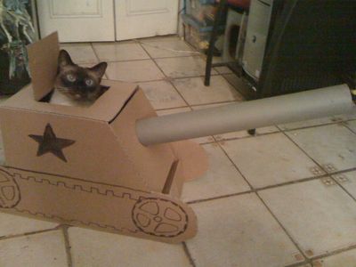 猫に戦車01