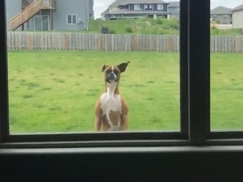 �ܥ��������Υ��ԡ���04