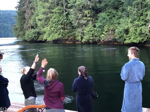 ロッジの前にクジラが姿を現す04