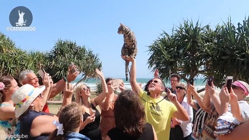 ����������ǭ�����ͥ���Ͽã��05