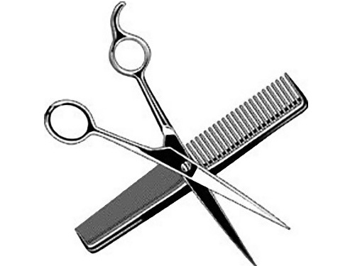 犬を散髪した00