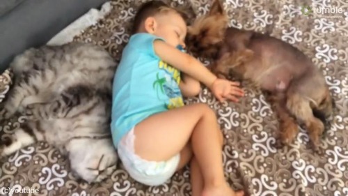 甘い!甘すぎる!赤ちゃんたちのお昼寝風景04