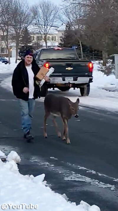 �ե��ɥ꡼�ʼ�01