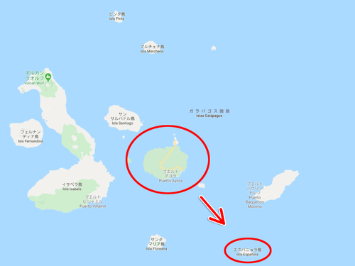 絶滅を救ったガラパゴスの「絶倫」亀が引退01