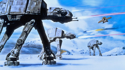 猫のために作ったもの06