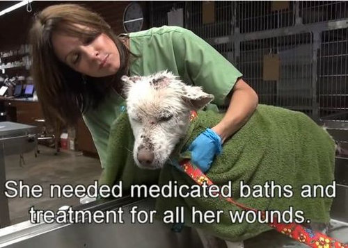 ���ߤλ�����餹�ۡ���쥹����߽�10