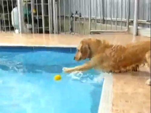 �ס���vs��