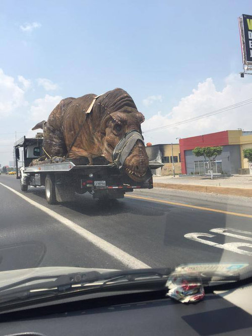 道路で恐竜に遭遇01