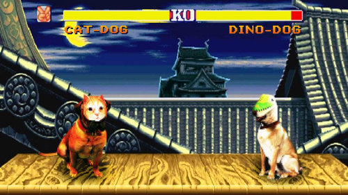 犬に猫マスク01