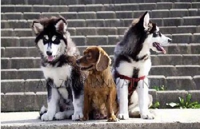 3ɤ�θ�����Ĺ04