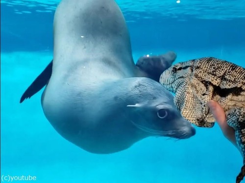 �������ȥȥ���03