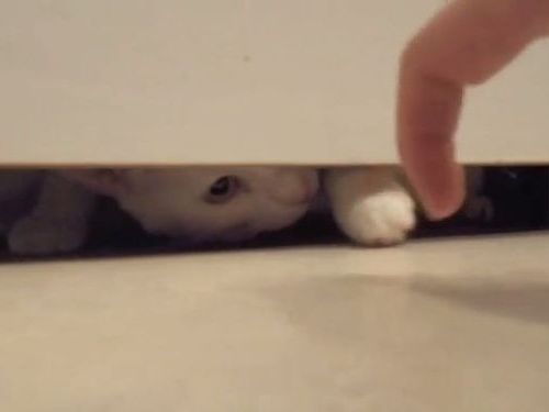 ǭ���Ǥ����01